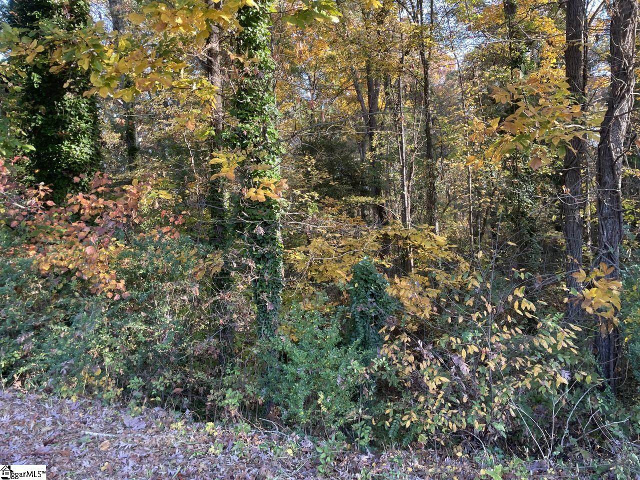 Brookforest Drive - Photo 1