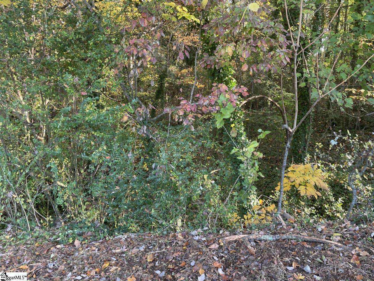  Brookforest Drive - Photo 1