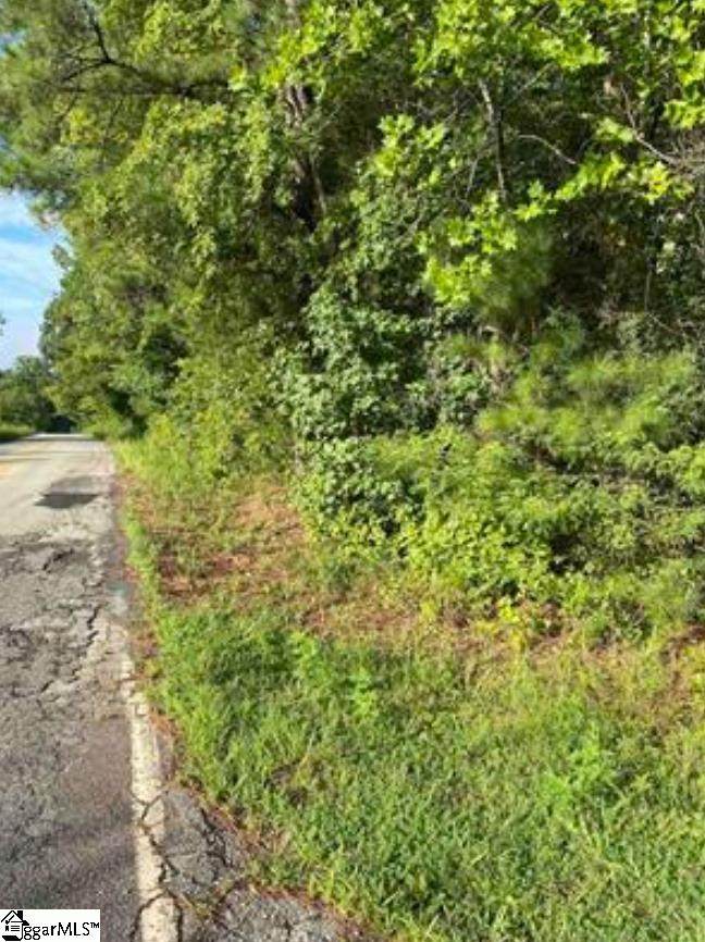 0 Mount Shoals Road - Photo 1