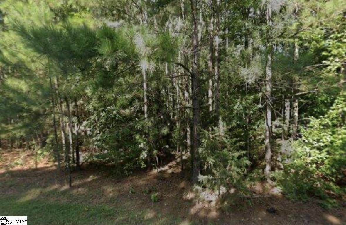 203 Ferncliff Drive - Photo 1