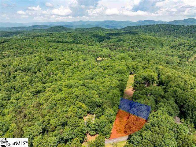 67 & 68 Wildflower Lane - Photo 1