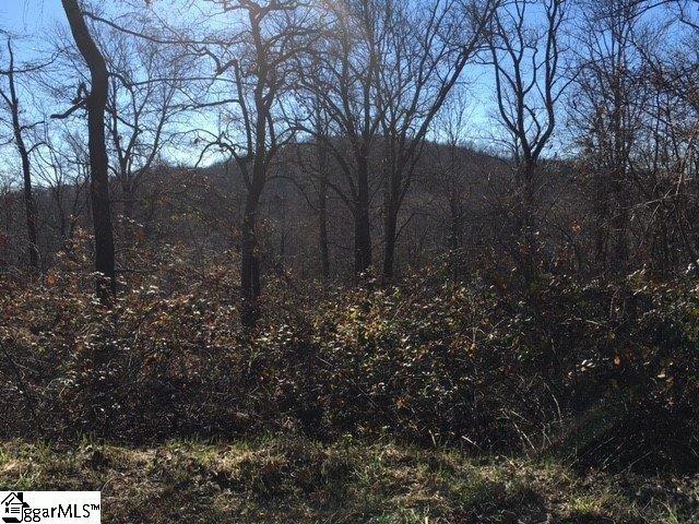 39 Witch Hazel Trail - Photo 1