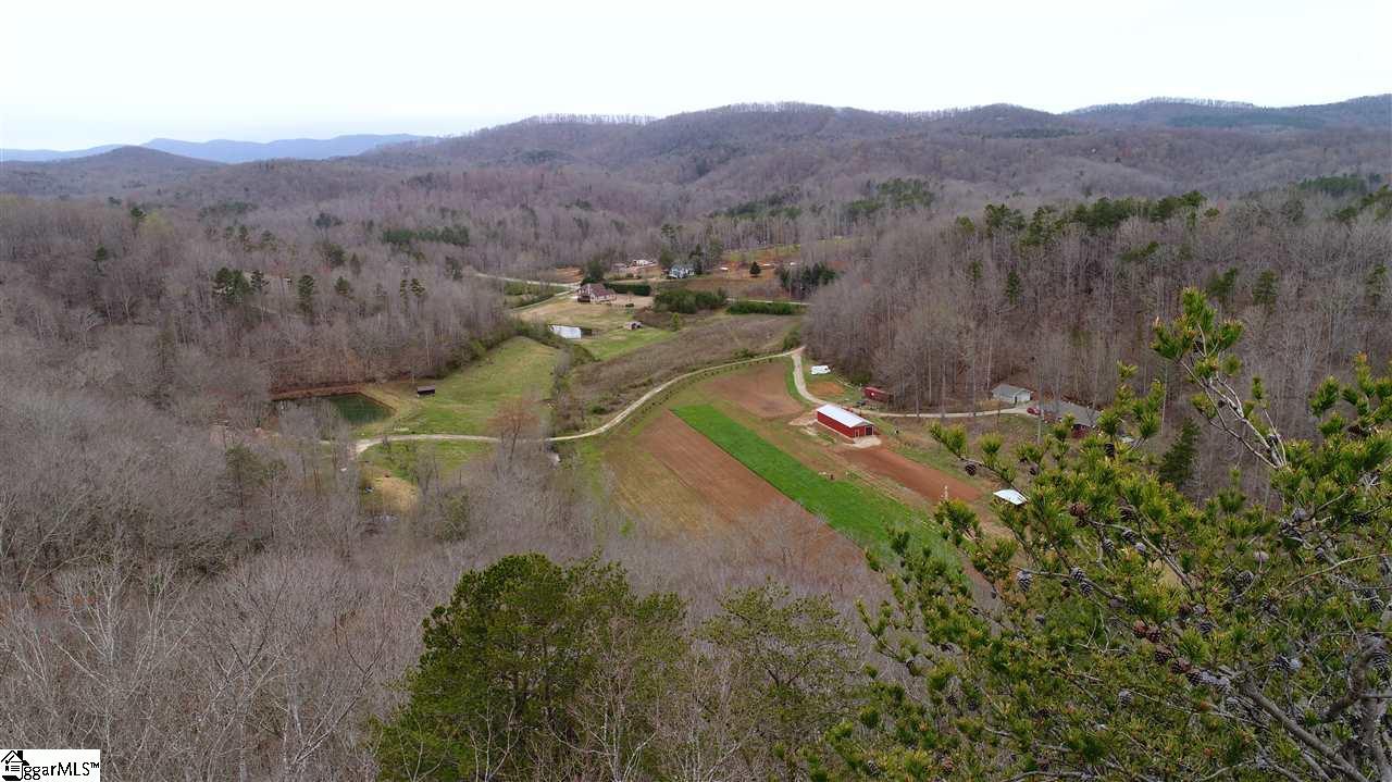 00 Little Mike Loop Road - Photo 1