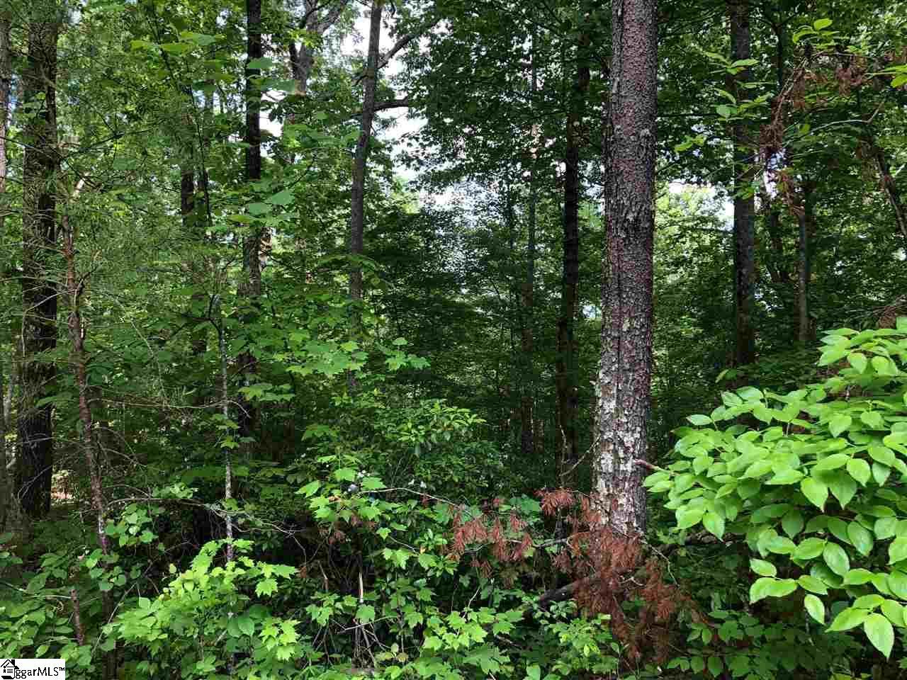 0000 Range Trail - Photo 1