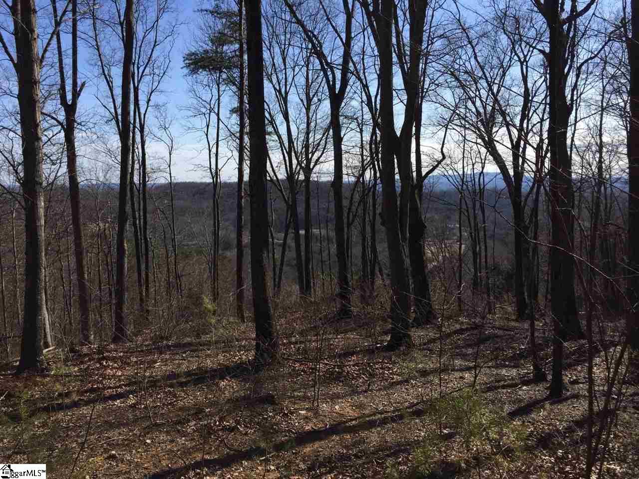 30 Granite Knob Way - Photo 1