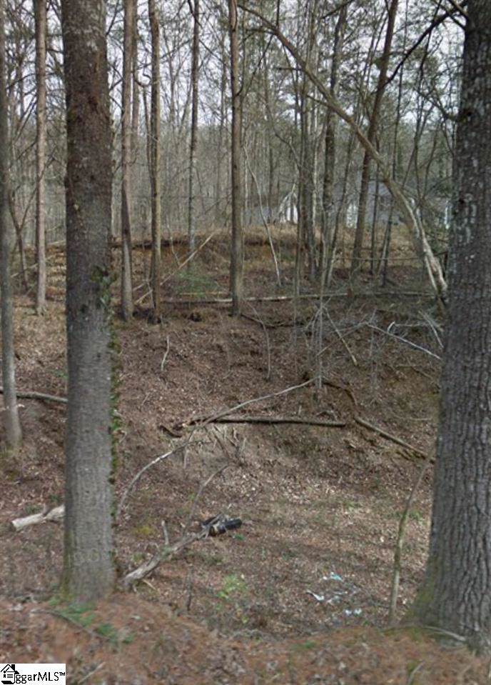 429 Silver Shoals Road - Photo 1