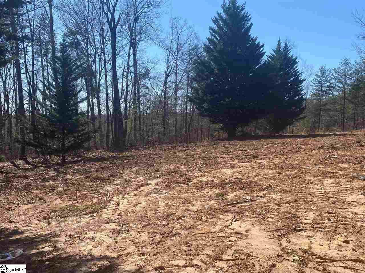 0000 Goforth Road - Photo 1