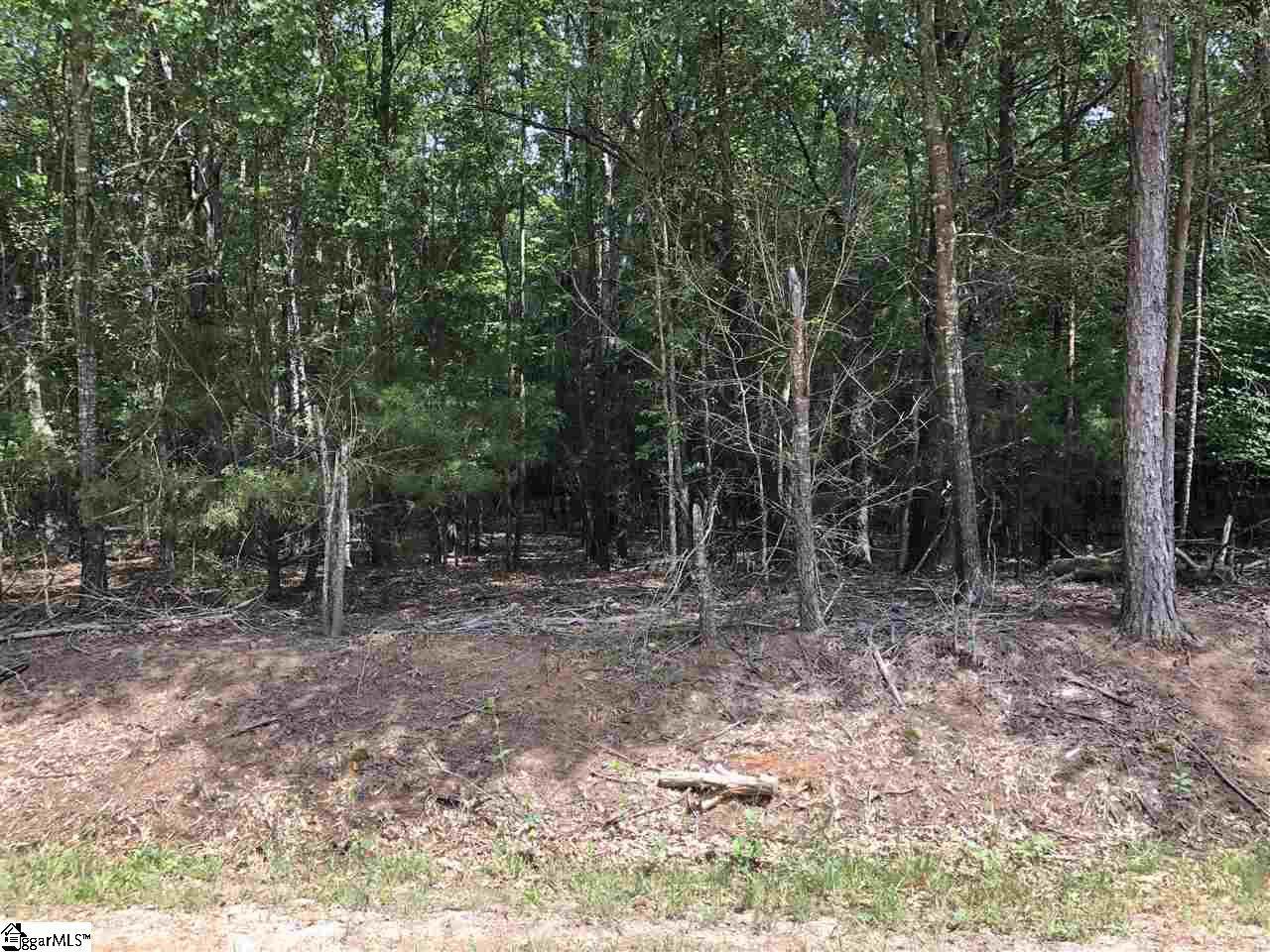 0 Old Hills Bridge Road - Photo 1