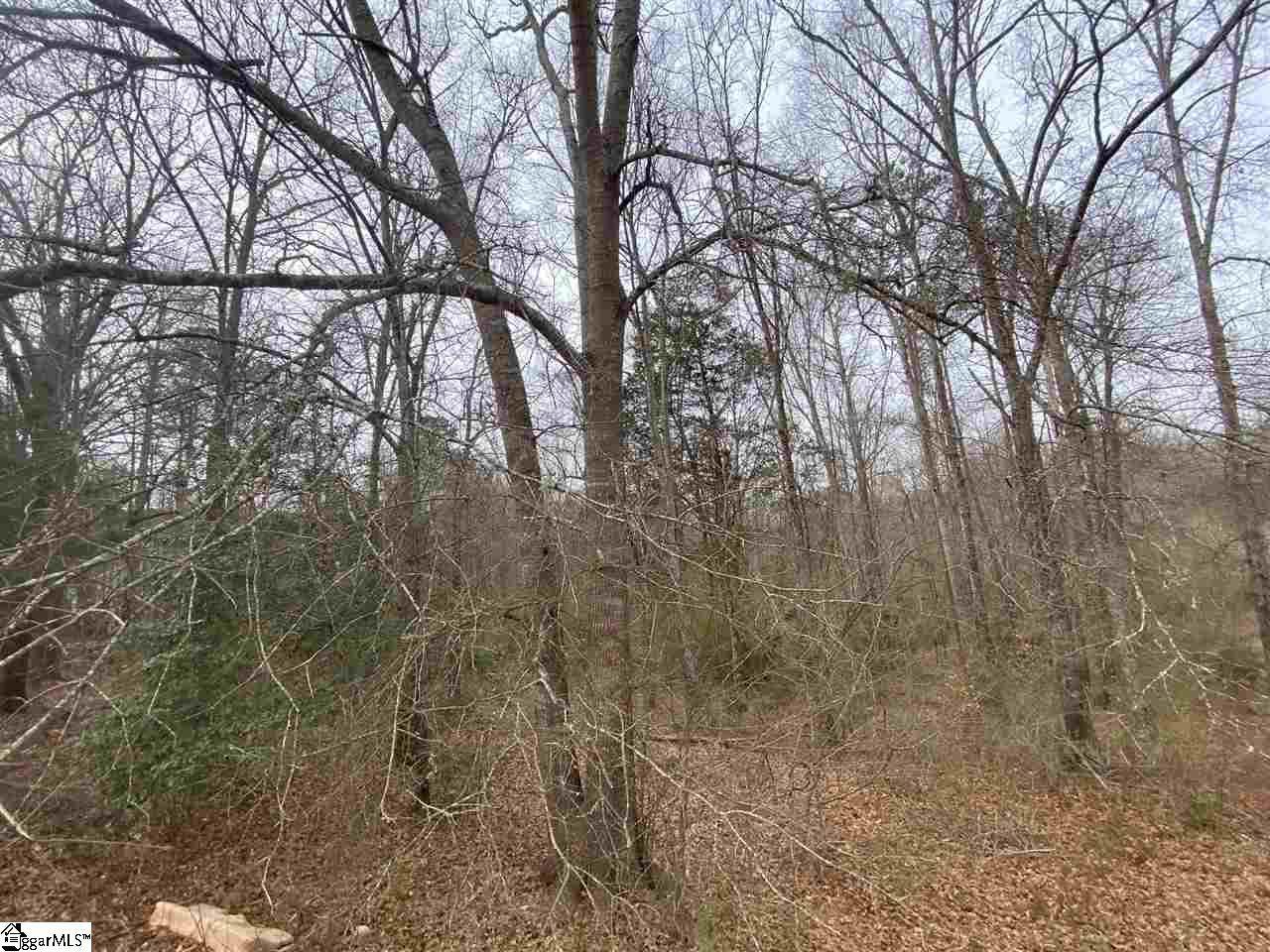 335 Deer Park Lane - Photo 1