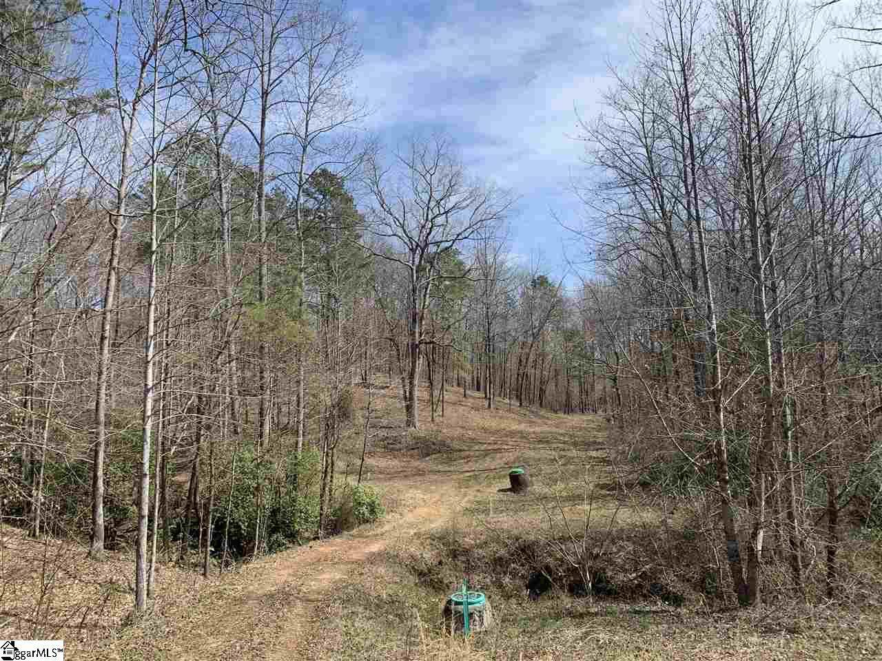 00 Highway 123 - Photo 1