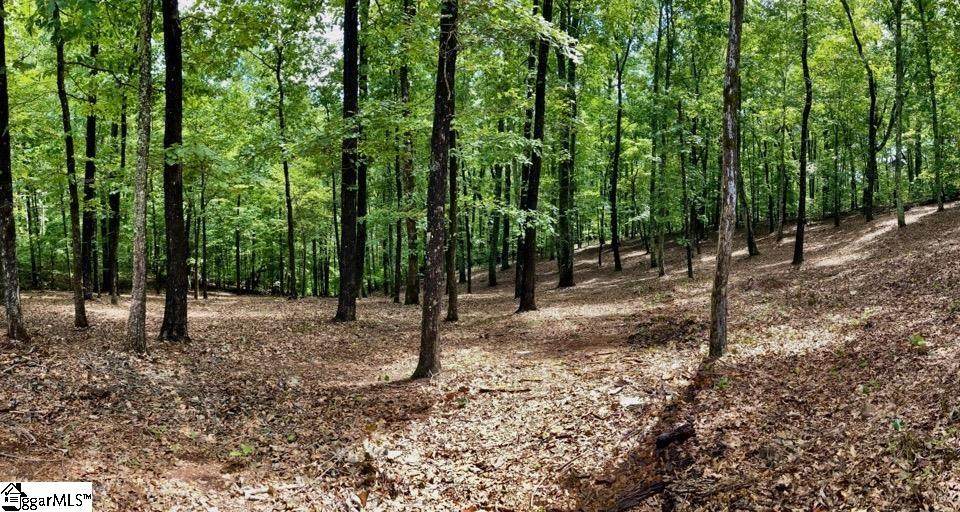 141 Cherokee Rose Trail - Photo 1