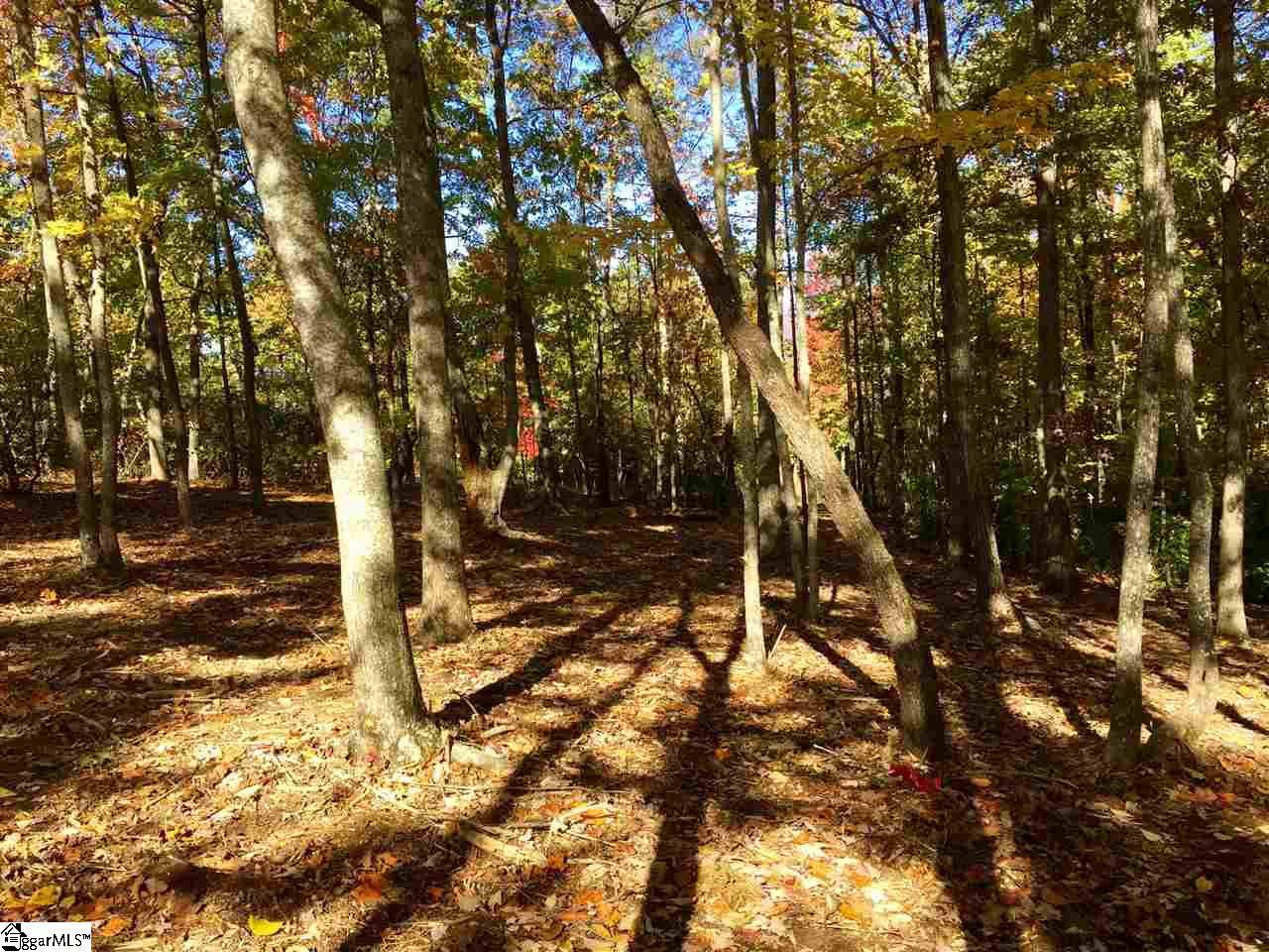 Peakwood Trail - Photo 1