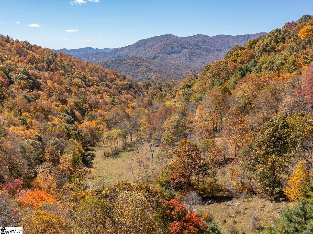 Hog Branch Road - Photo 1