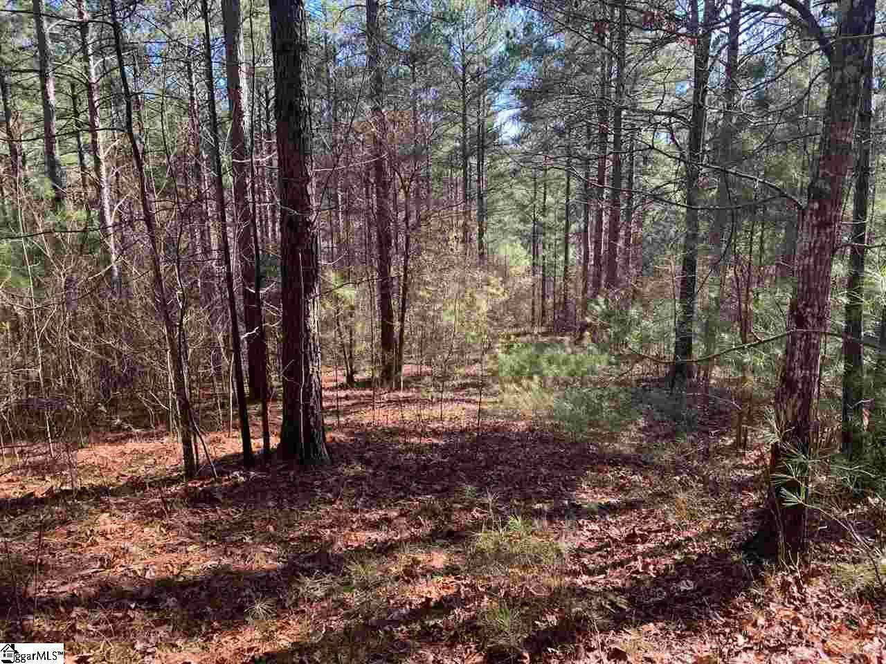 632 Pine Harbor Way - Photo 1