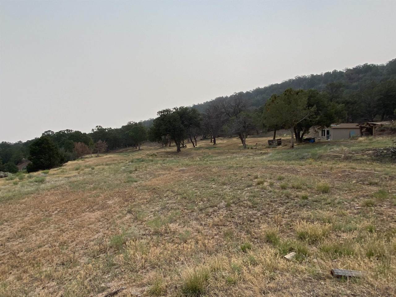 20630 Rim View Drive - Photo 1
