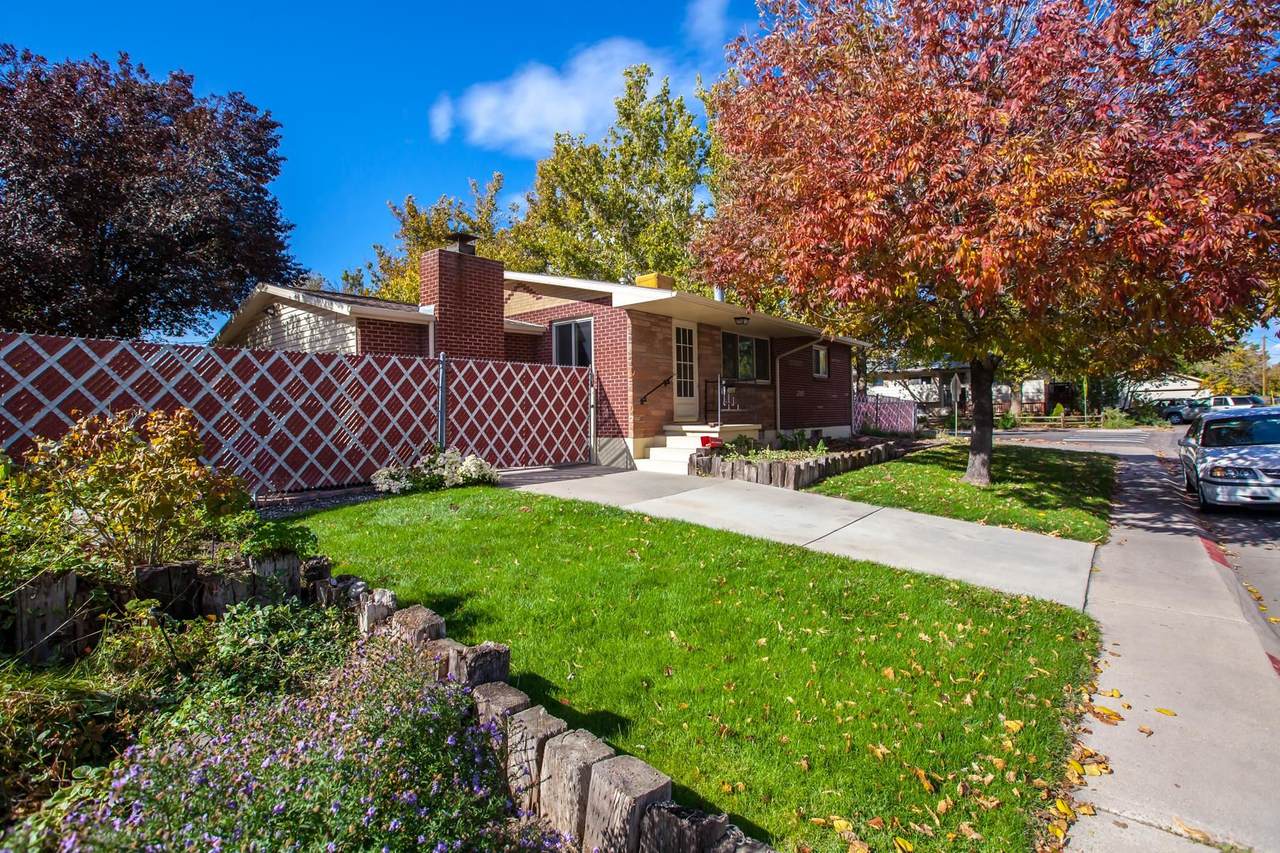 2049 10th Street - Photo 1