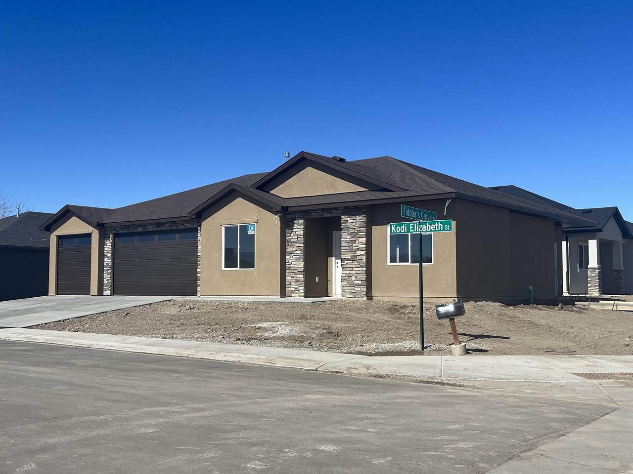 3162 Kodi Elizabeth Street - Photo 1