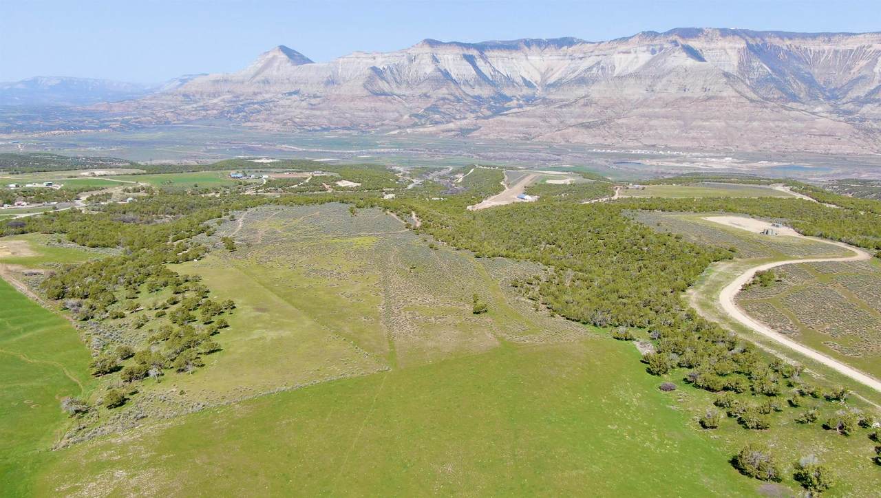TBD Wallace Creek Road - Photo 1