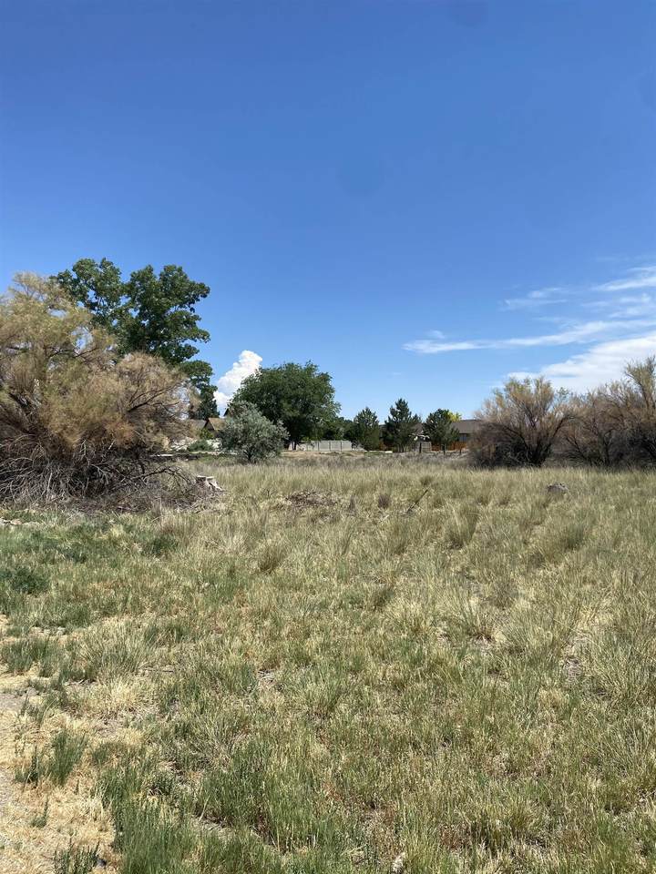 1837 Catalina Avenue - Photo 1