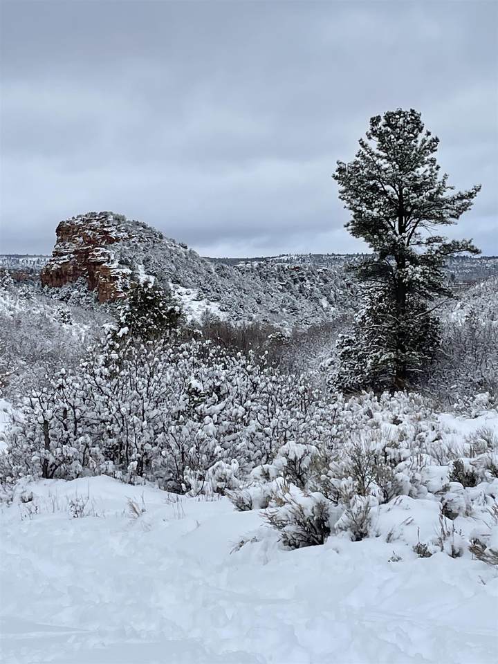 Parcel 13 Uncompahgre Divide Road - Photo 1