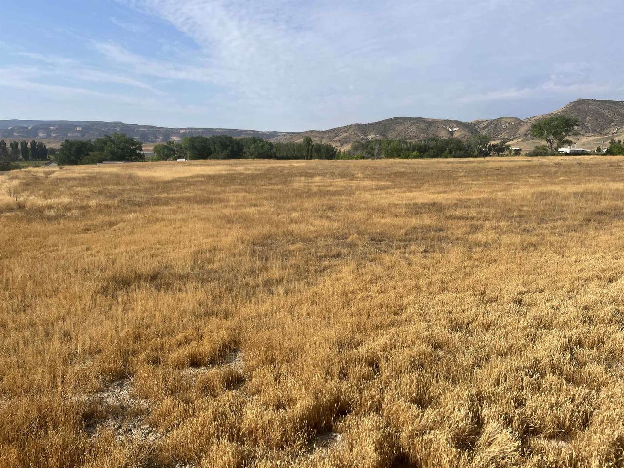 1315 12 1/4 Road - Photo 1