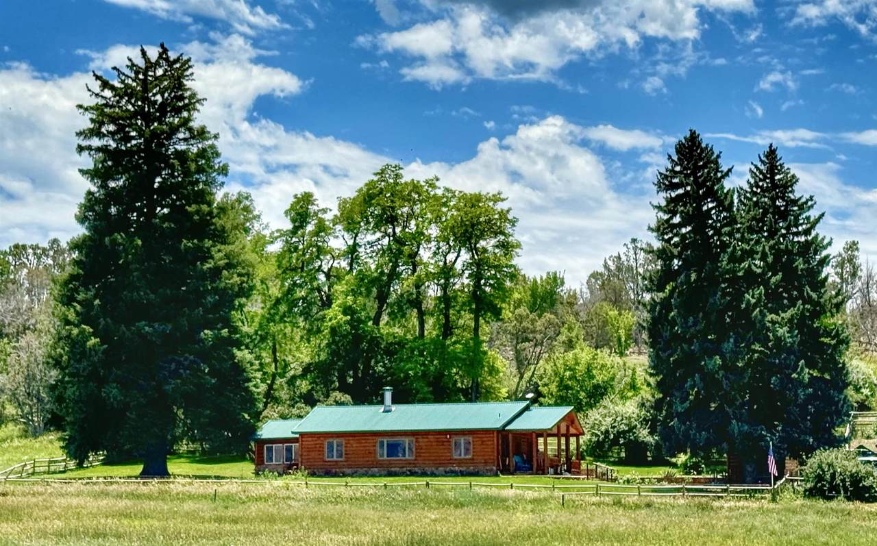 55945 Oe Road - Photo 1