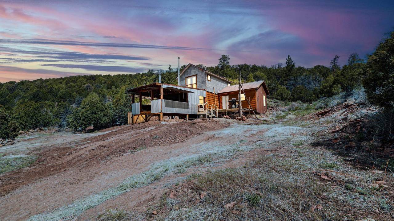 7465 Uncompahgre Divide Road - Photo 1