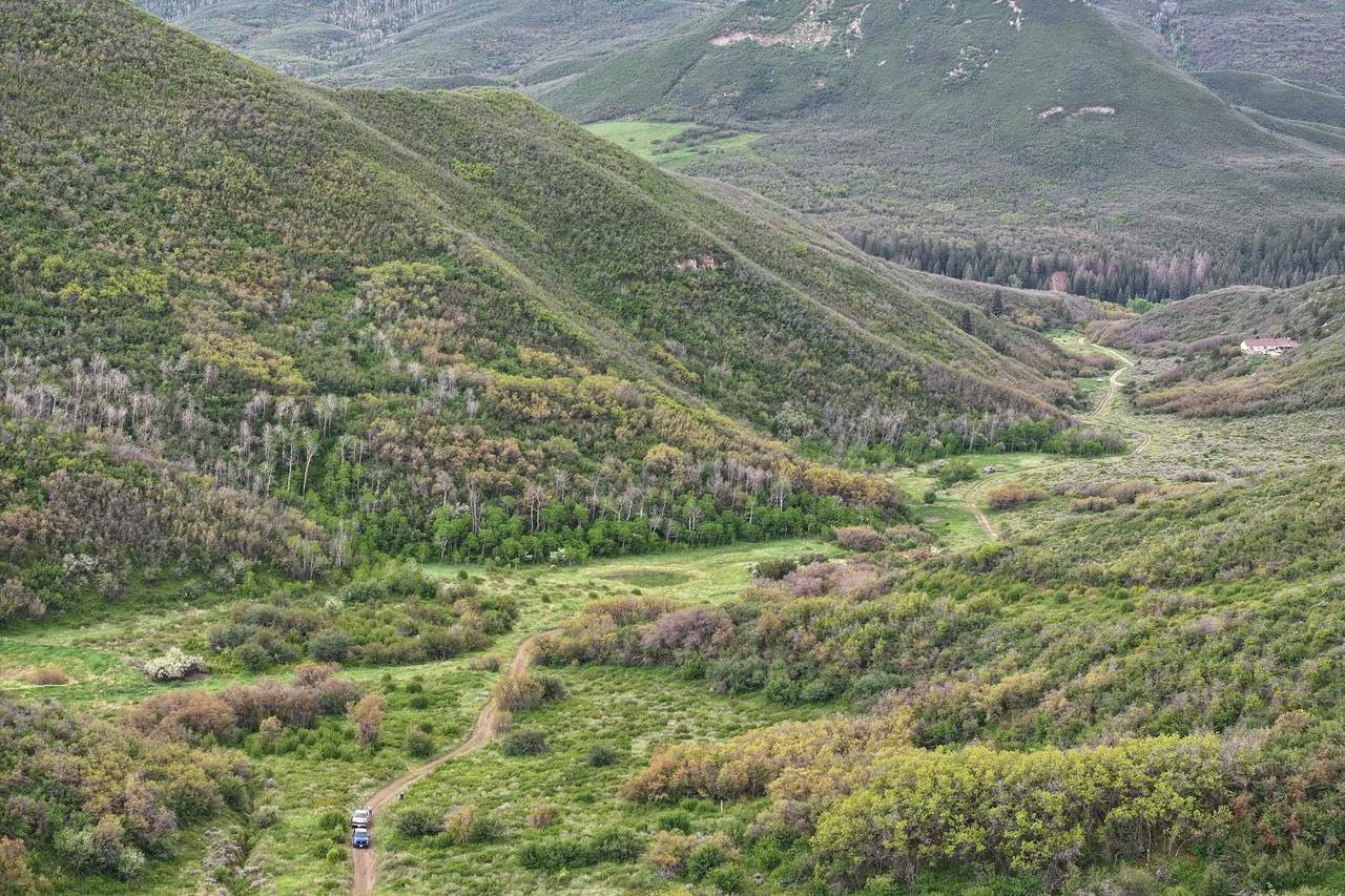 TBD County Road 313 - Photo 1