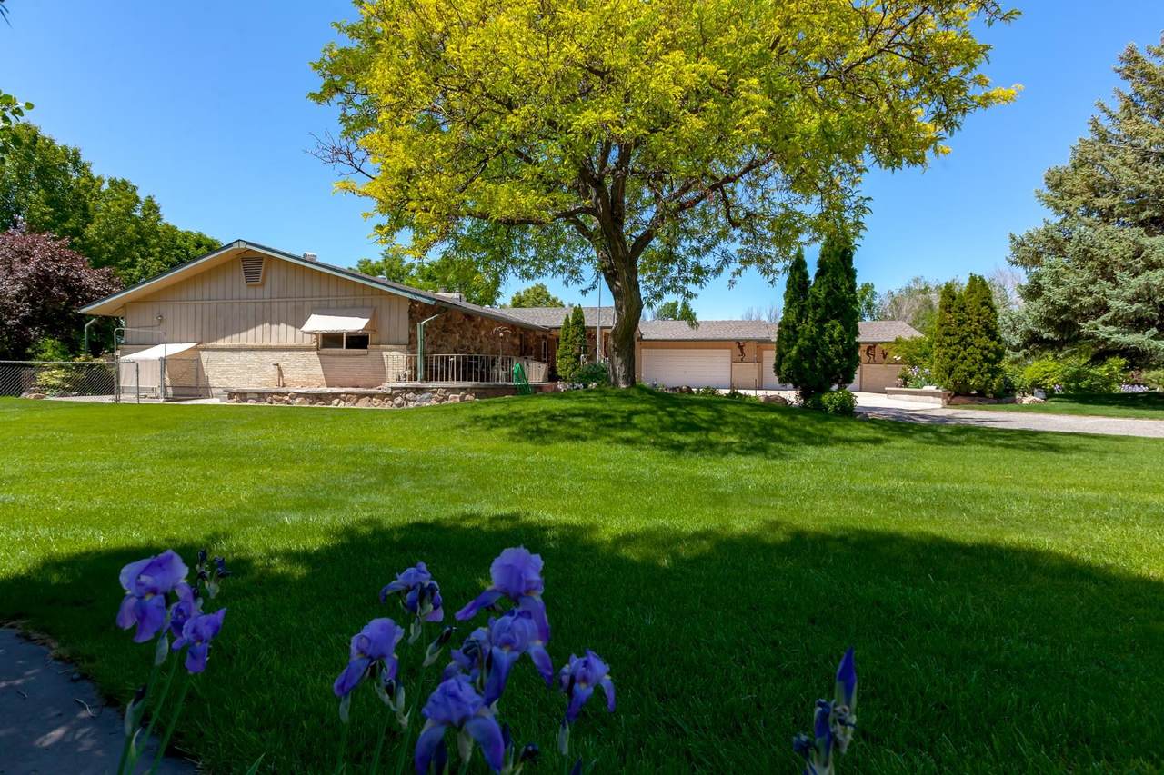 773 Old Orchard Street - Photo 1