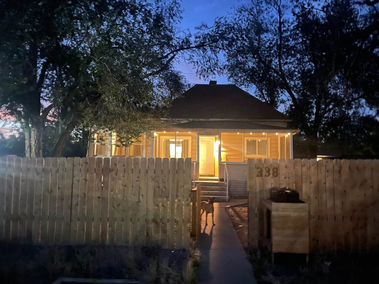 338 Ouray Avenue - Photo 1