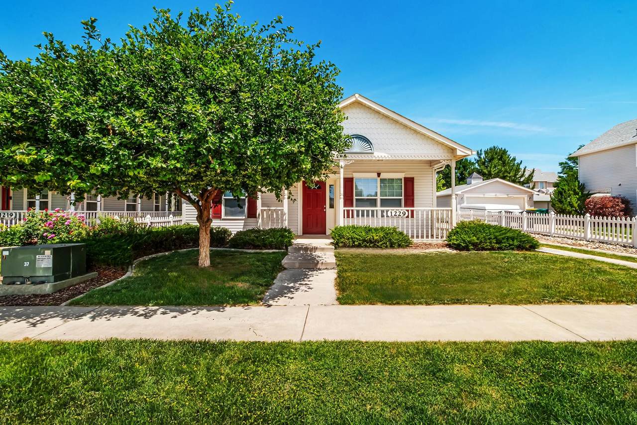 1229 Windsor Park Drive - Photo 1