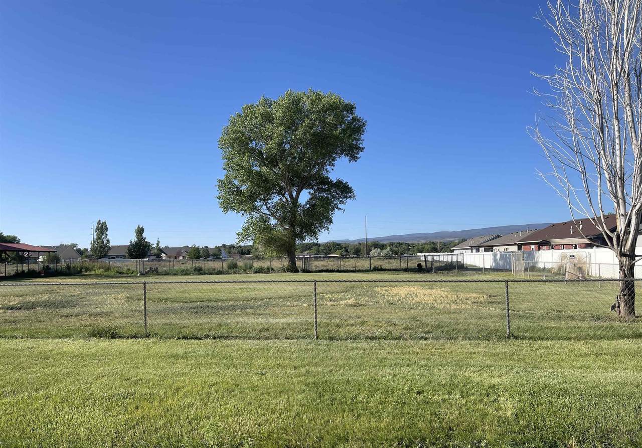 2839 Forest Court - Photo 1