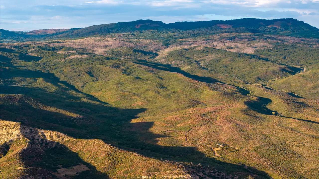 000 Currant Creek Road - Photo 1