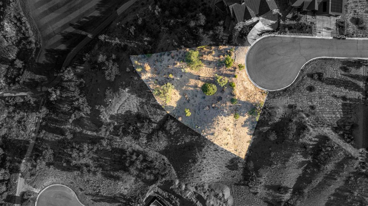 29 Stag Court - Photo 1