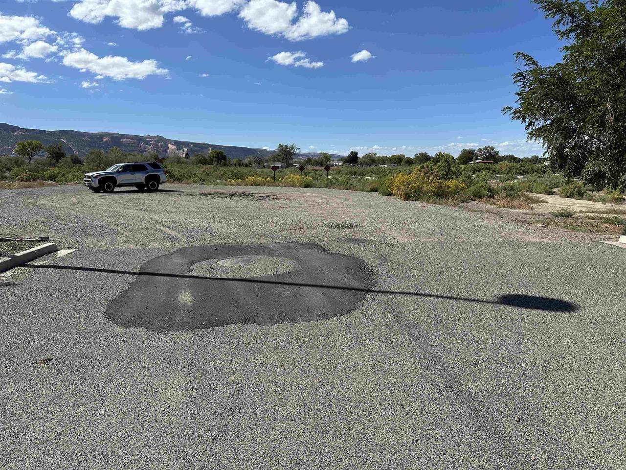 2125 & 2120 Bond Street - Photo 1