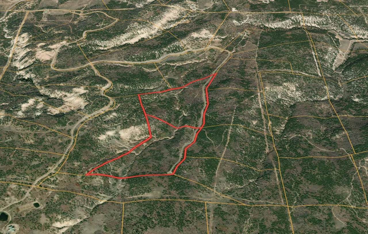 18975 Elk Reserve Road - Photo 1