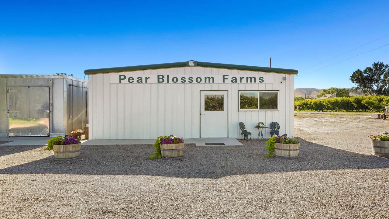 3376 C Road - Photo 1