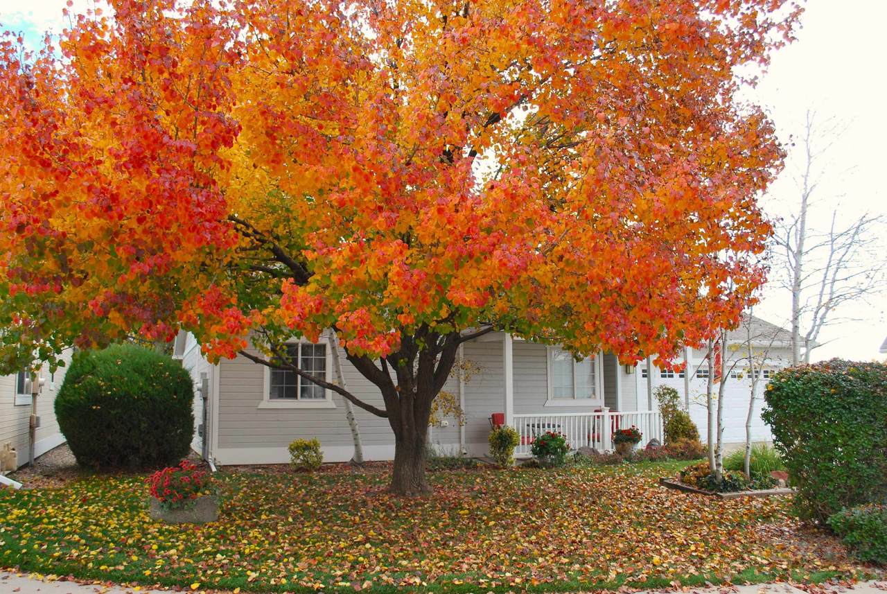 2440 Wellington Court - Photo 1