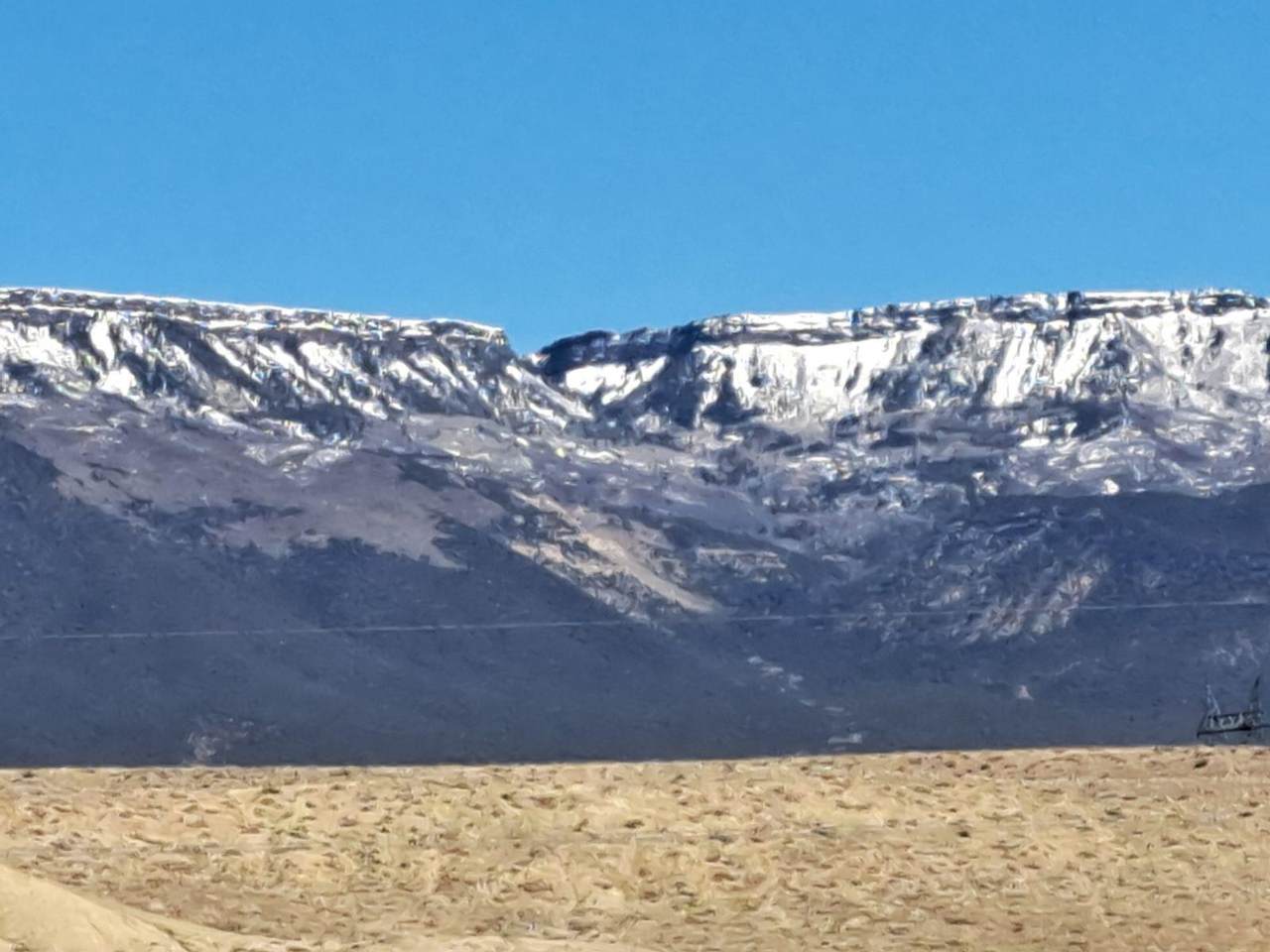 1410 Shiloh Street - Photo 1