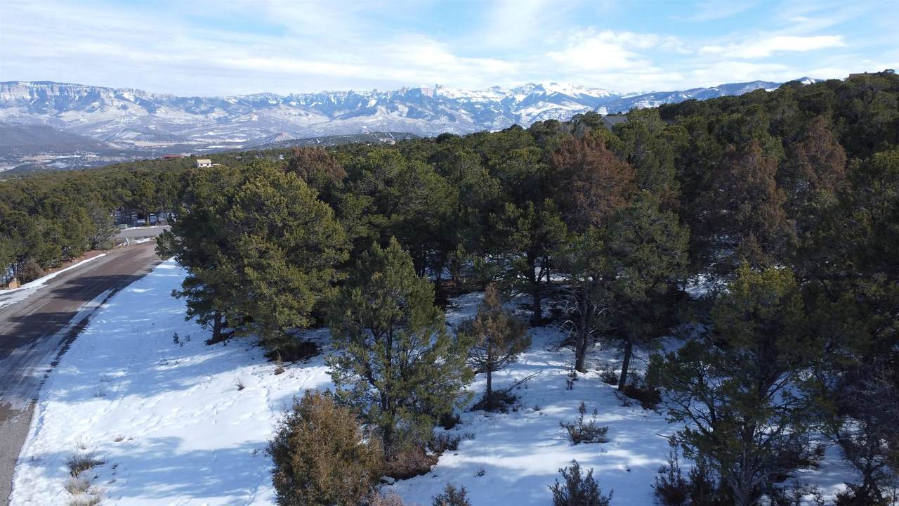 30 Pinon Road West - Photo 1
