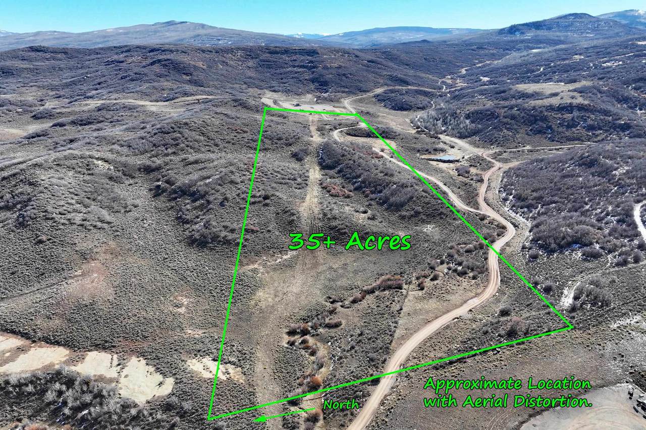 TBD Harrison Creek Gulch Road - Photo 1