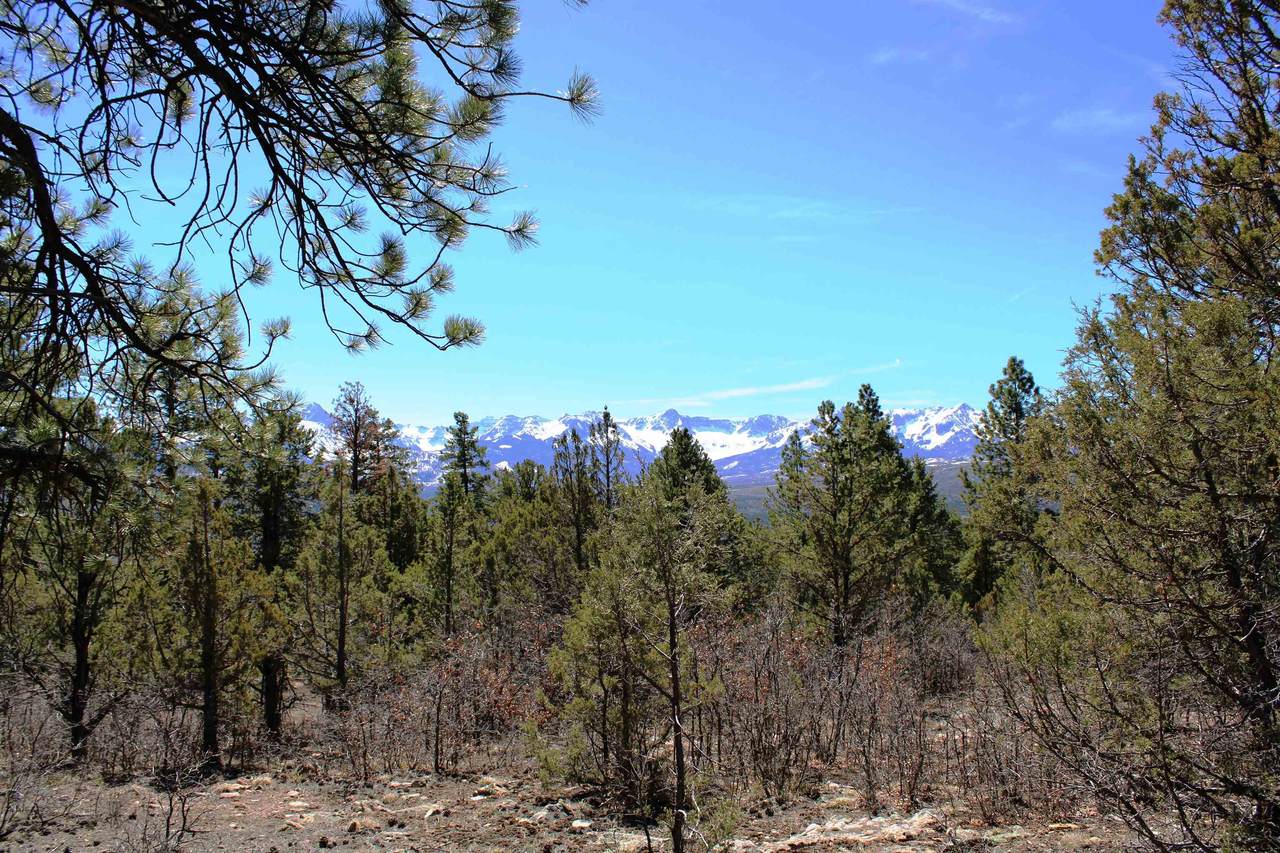 TBD Old Relay Road - Photo 1