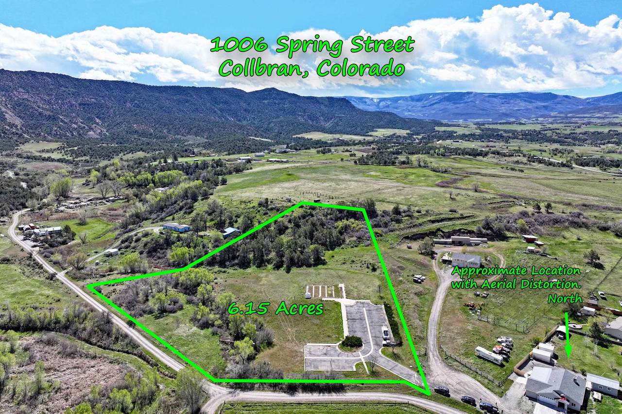 1006 Spring Street - Photo 1