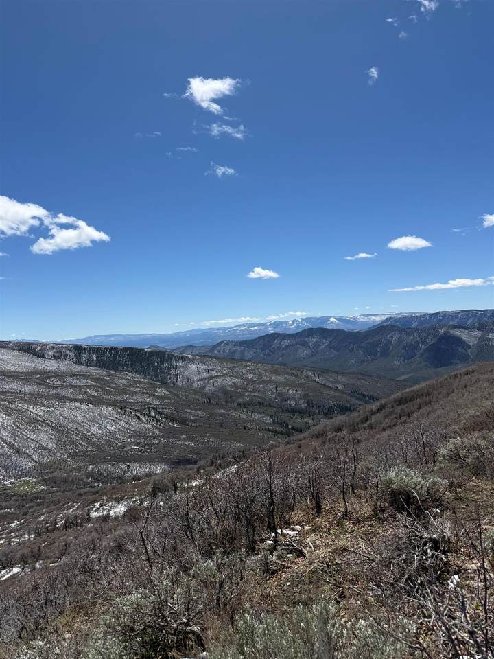 00 South Fork R Road - Photo 1