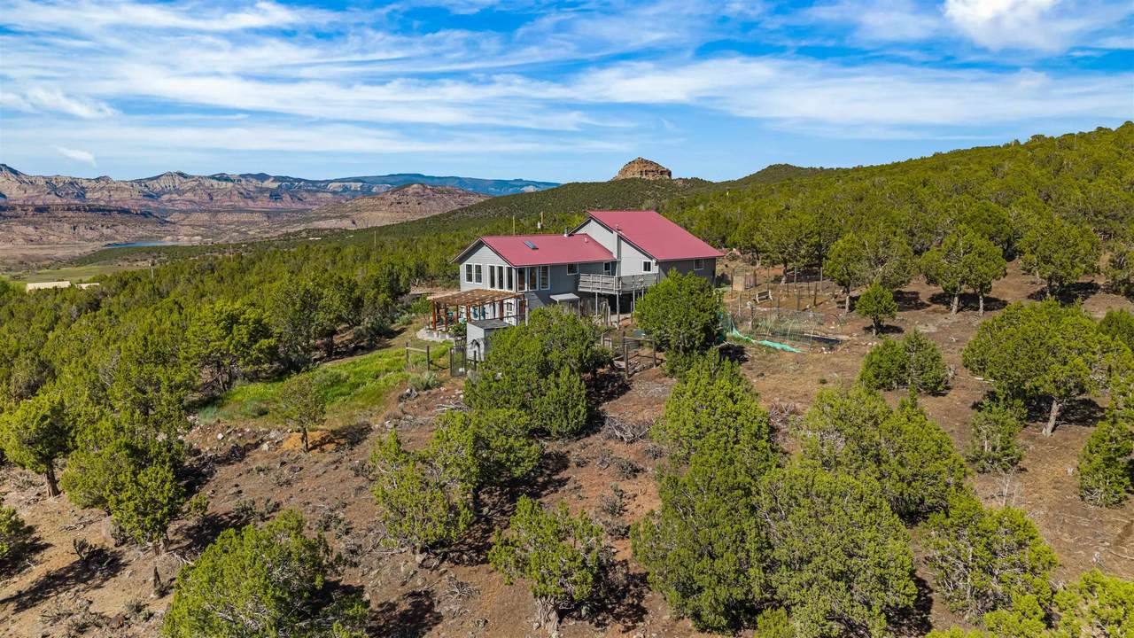 49991 Eagles Way - Photo 1