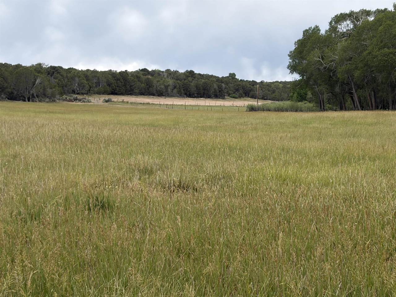 TBD Cactus Park Road - Photo 1
