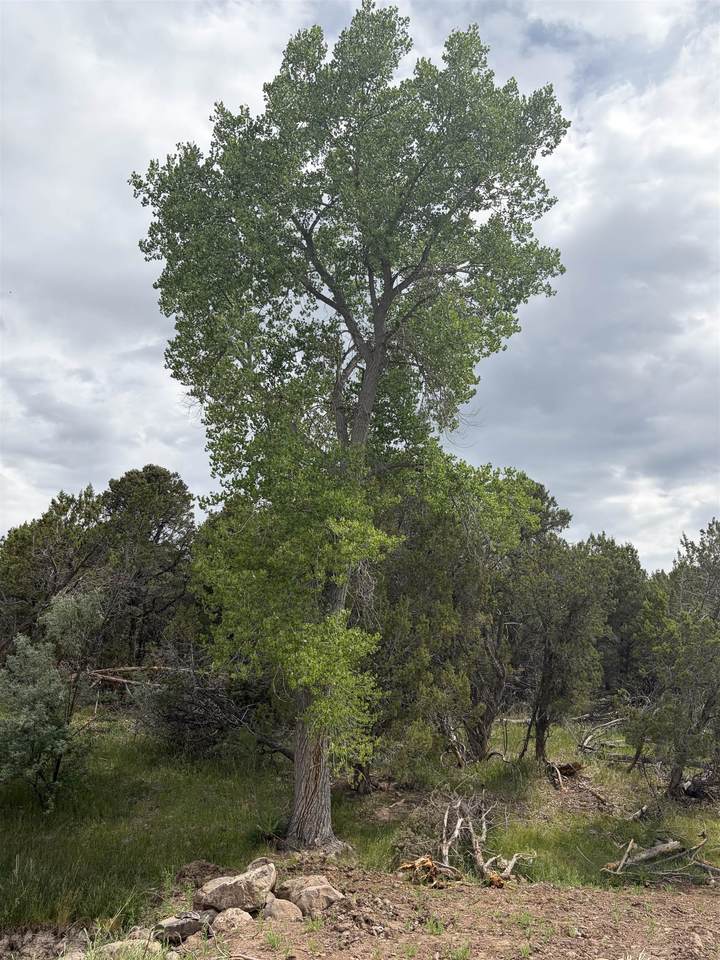https://bt-photos.global.ssl.fastly.net/gjunction/1280_boomver_1_20262914-2.jpg