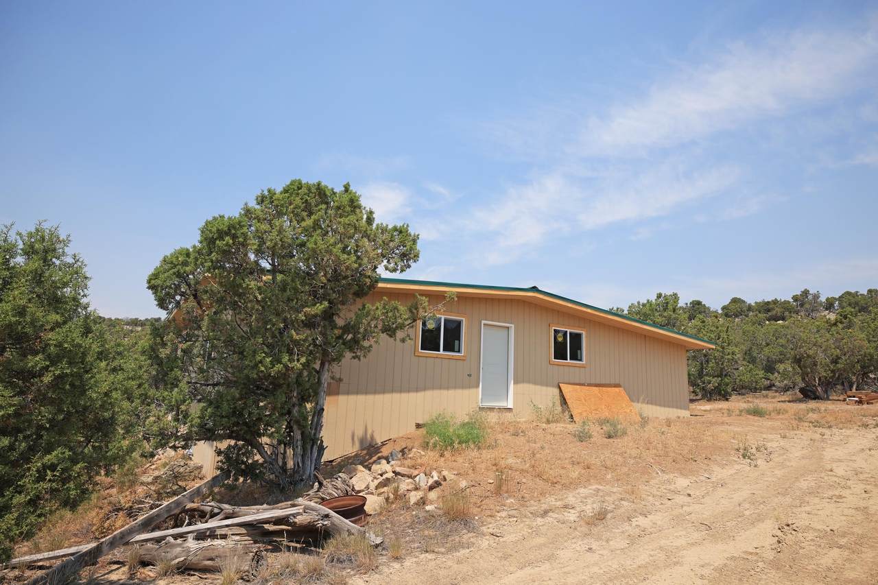1775 35 1/10 Road - Photo 1