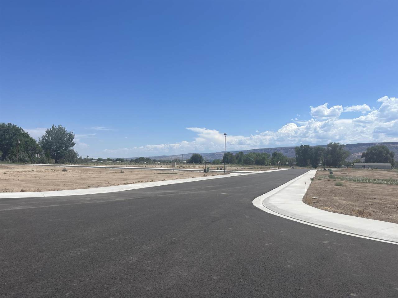 970 Hay Bale Court - Photo 1
