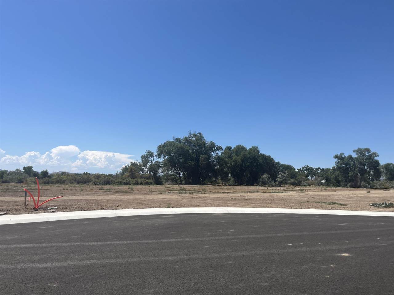 967 Hay Bale Court - Photo 1